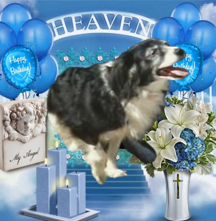 Freezia of the nyssen family