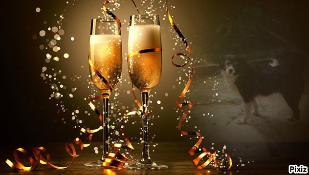 Freezia of the nyssen family