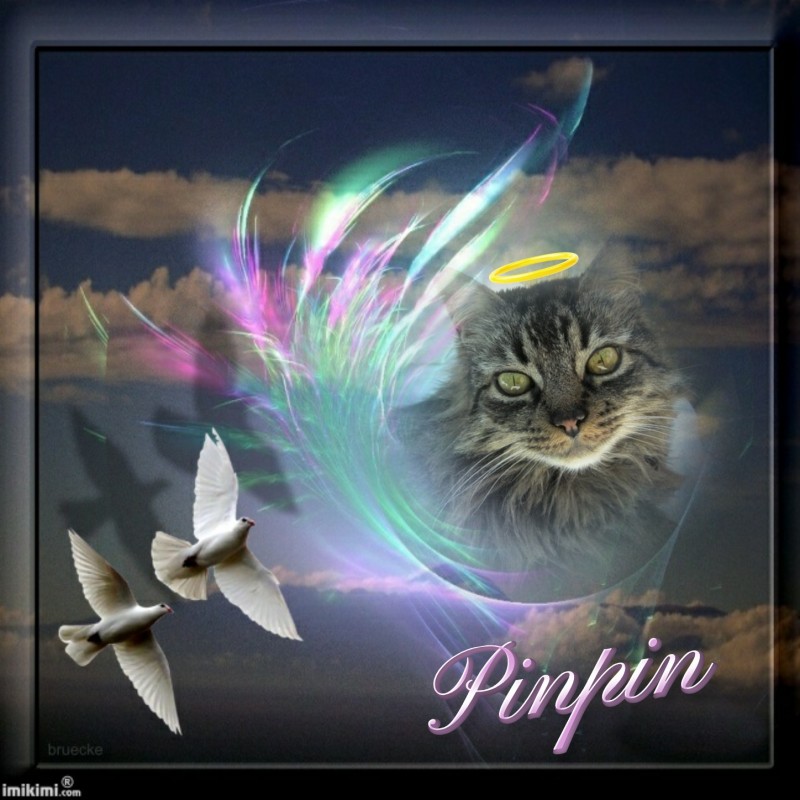 pinpina uploaded   4 year/s ago