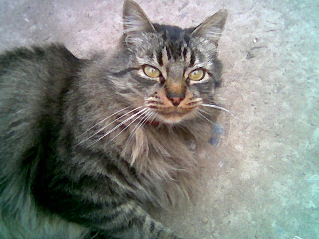 pinpina uploaded   3 year/s ago