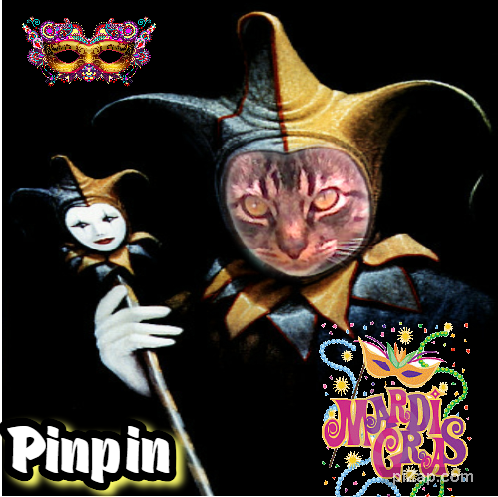 pinpina uploaded   2 year/s ago
