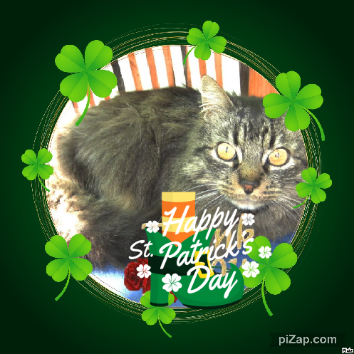 Pinpin  Francisco of the pinpina family