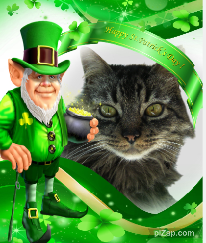 Pinpin  Francisco of the pinpina family