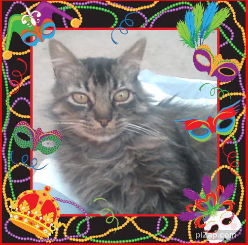 pinpina uploaded   88  day/s  ago