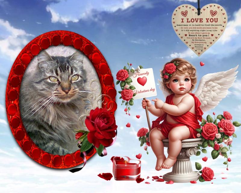 pinpina uploaded   52  day/s  ago