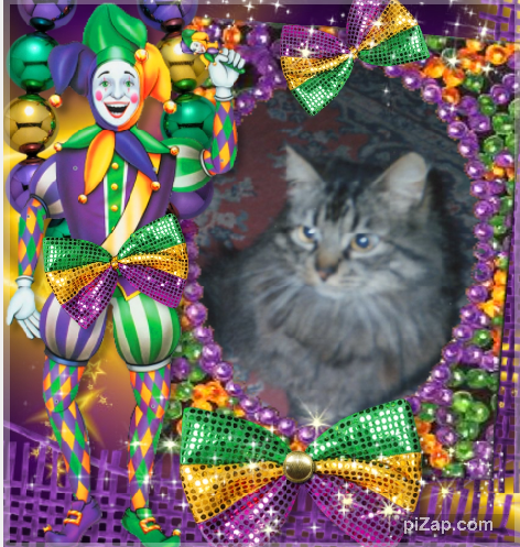 pinpina uploaded   88  day/s  ago