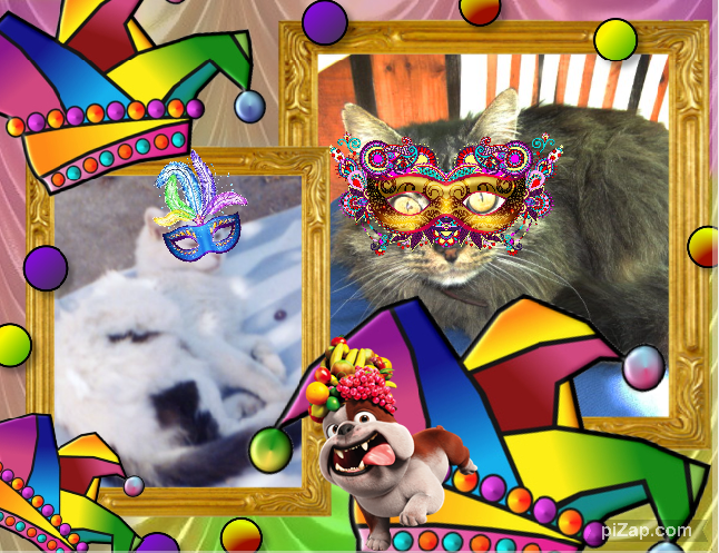 pinpina uploaded   88  day/s  ago