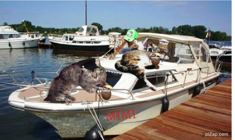 Pinpin  Francisco of the pinpina family