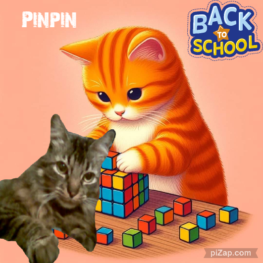 pinpina uploaded   1 year/s ago