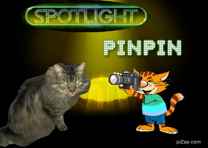 pinpina uploaded   153  day/s  ago