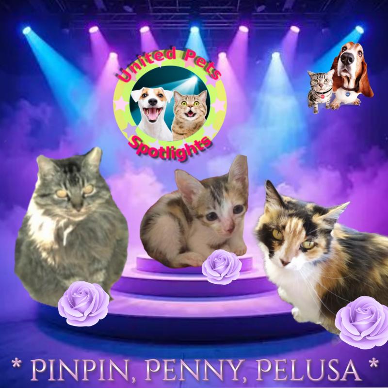 Pinpin  Francisco of the pinpina family