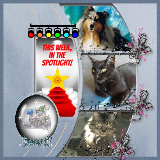 pinpina uploaded   1 year/s ago