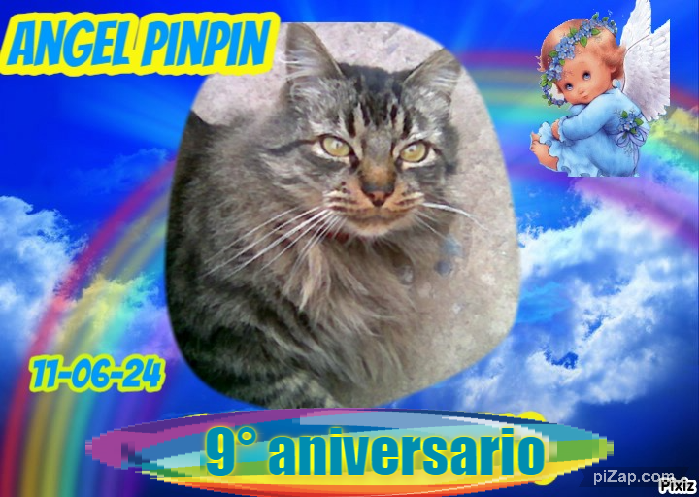 pinpina uploaded   2 year/s ago