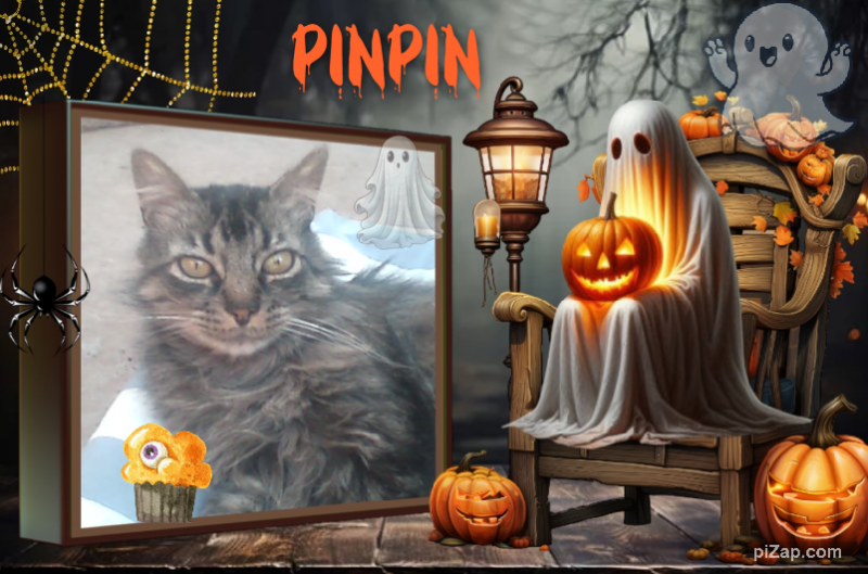 pinpina uploaded   1 year/s ago