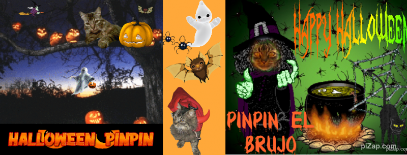 pinpina uploaded   1 year/s ago