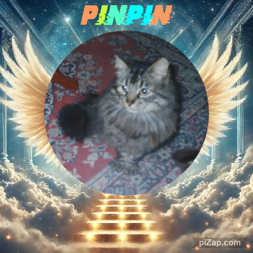 pinpina uploaded   270  day/s  ago