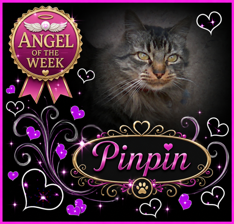 Pinpin  Francisco of the pinpina family