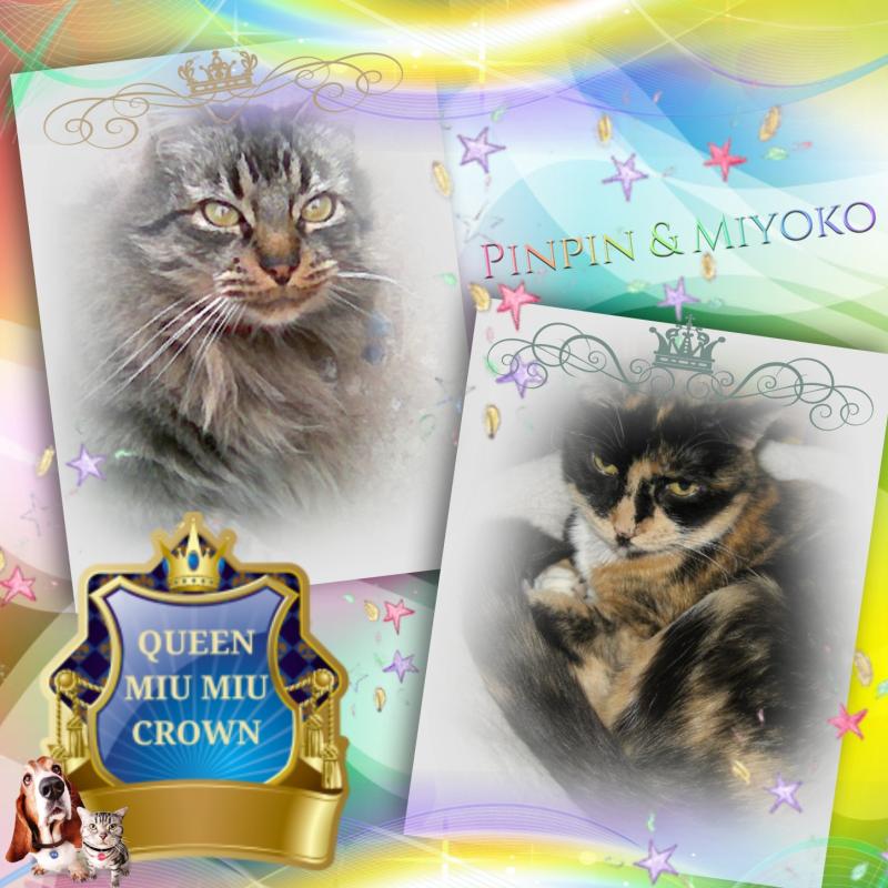 Pinpin  Francisco of the pinpina family