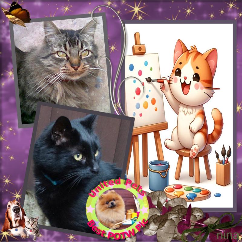 pinpina uploaded   61  day/s  ago