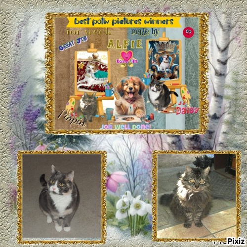 Pinpin  Francisco of the pinpina family