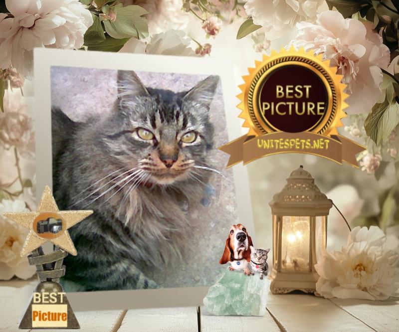 pinpina uploaded   61  day/s  ago