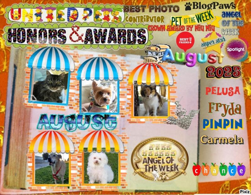 Pinpin  Francisco of the pinpina family