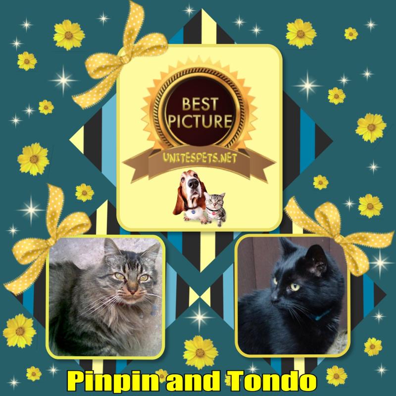 Pinpin  Francisco of the pinpina family