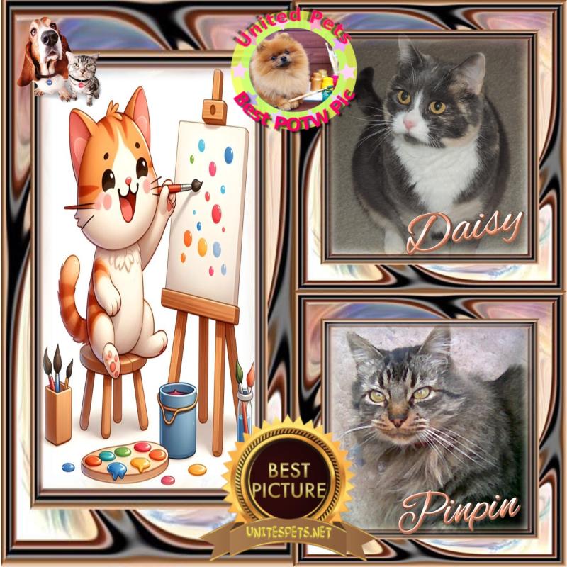 Pinpin  Francisco of the pinpina family