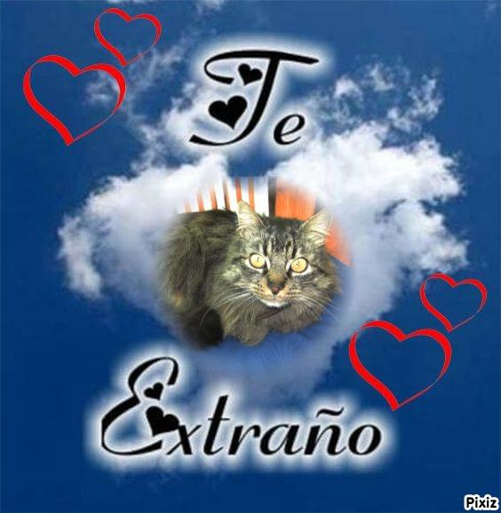 Pinpin  Francisco of the pinpina family