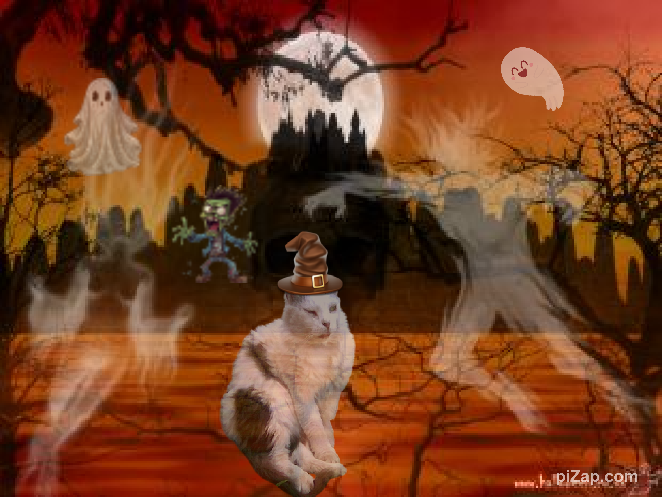 pinpina uploaded   186  day/s  ago