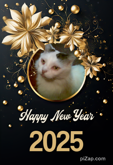 pinpina uploaded   1 year/s ago