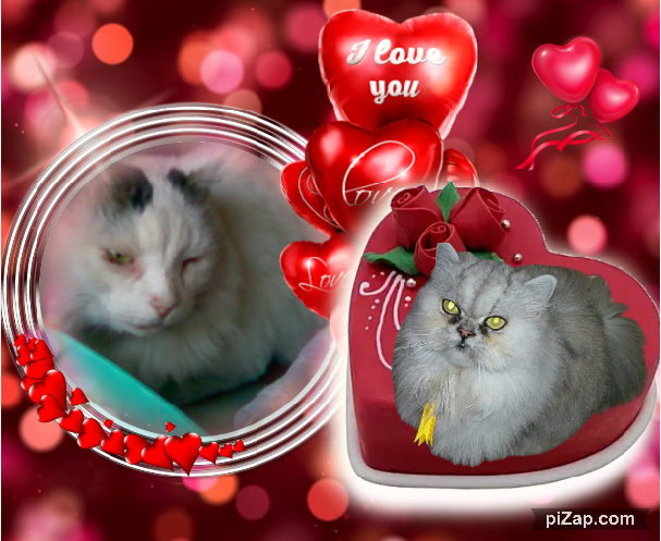 pinpina uploaded   62  day/s  ago