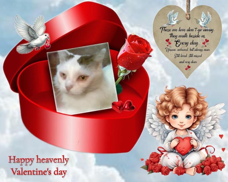 Toby Esteban of the pinpina family