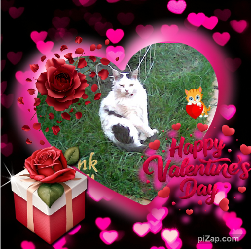 pinpina uploaded   62  day/s  ago