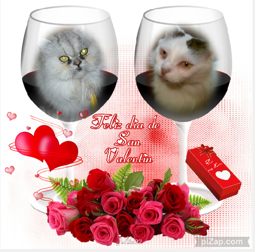 pinpina uploaded   62  day/s  ago