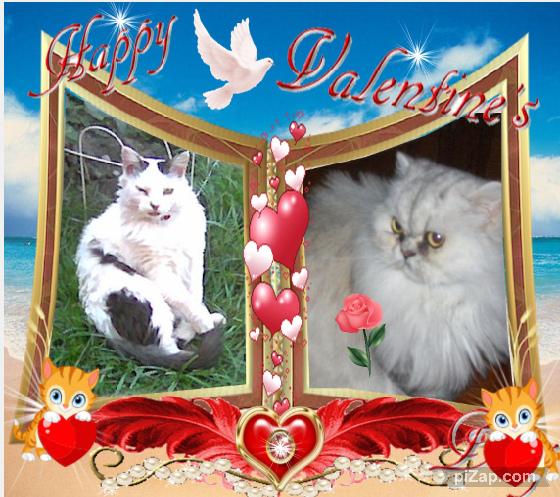 pinpina uploaded   62  day/s  ago