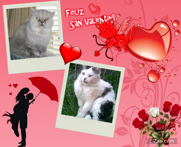 Toby Esteban of the pinpina family