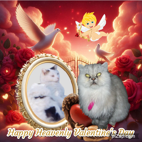 Toby Esteban of the pinpina family