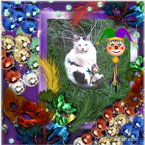 pinpina uploaded   88  day/s  ago