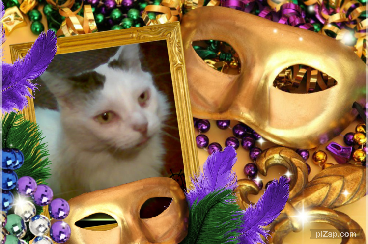 pinpina uploaded   88  day/s  ago