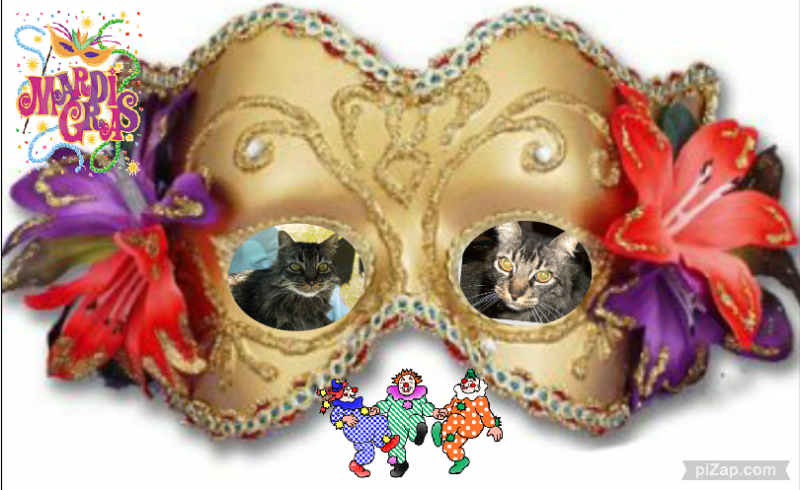 pinpina uploaded   88  day/s  ago