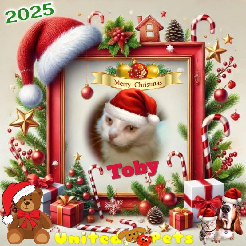 Toby Esteban of the pinpina family