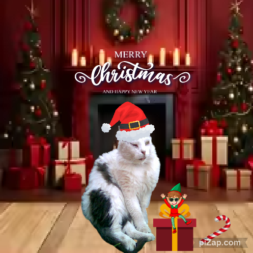 Toby Esteban of the pinpina family