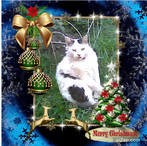 Toby Esteban of the pinpina family