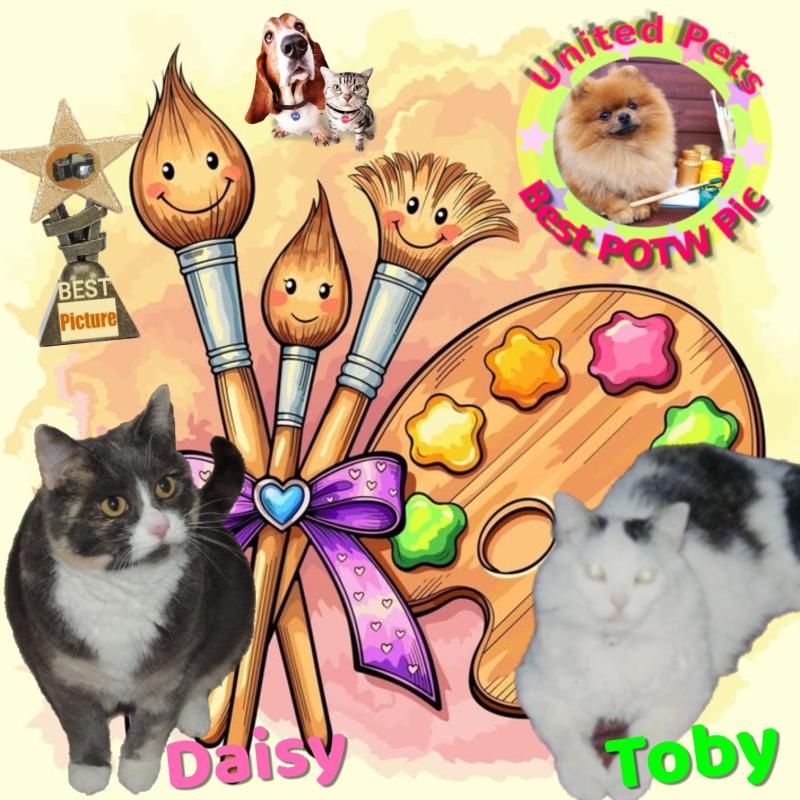 Toby Esteban of the pinpina family