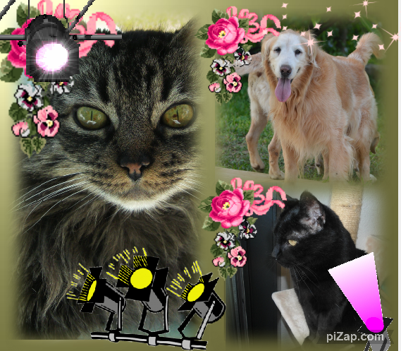 Dandavat of the purujit1912 family