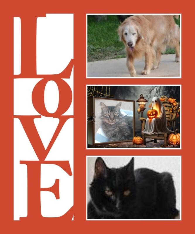 Dandavat of the purujit1912 family