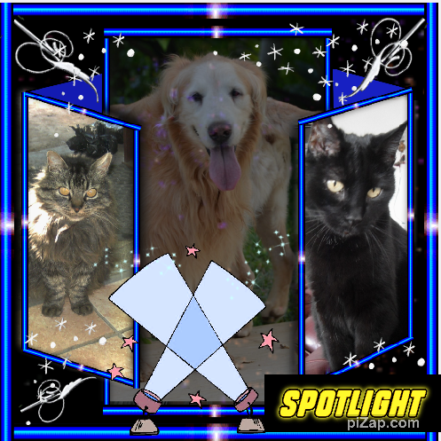 Dandavat of the purujit1912 family