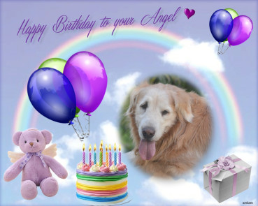 purujit1912 uploaded   13 hour/s ago