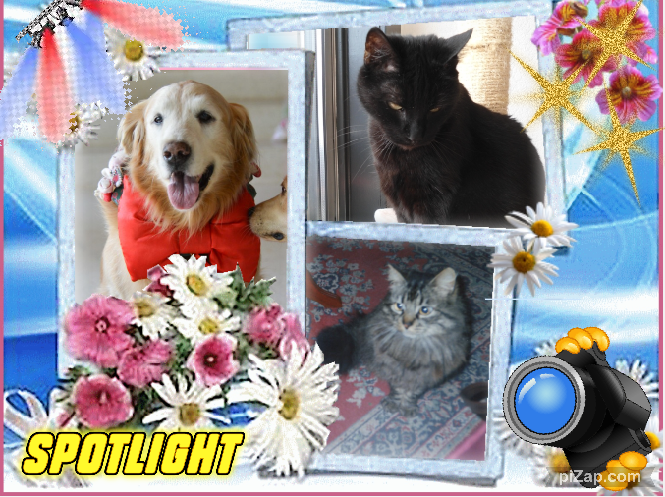 Dandavat of the purujit1912 family